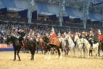 Cavalry - 00295